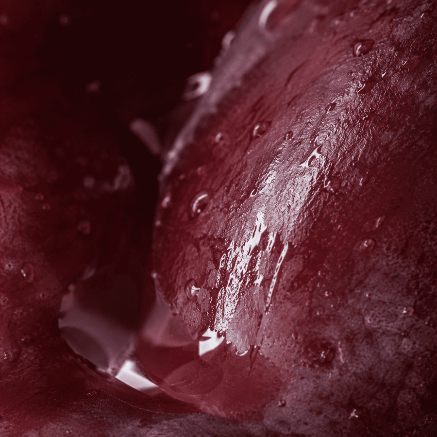 Resveratrol
