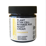 plant stem Night Restore Cream Helps The Growth Of New Cells Firming